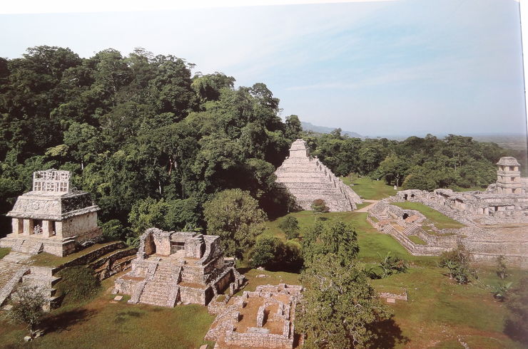 大きいマヤの遺跡